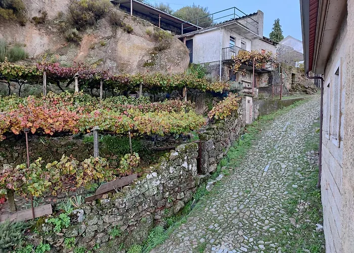 Casa Da Avo